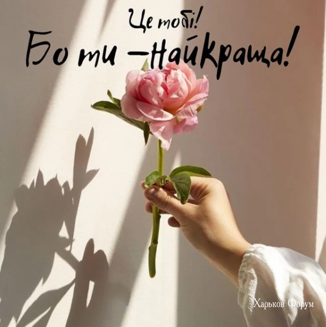 943f3bdb7ceea83ba1.webp