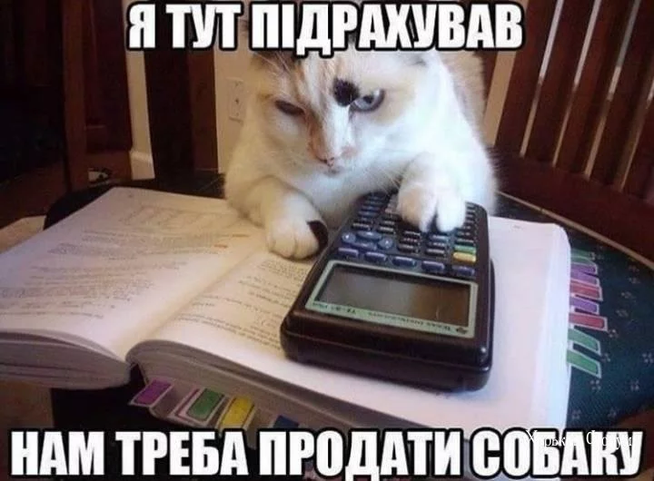 9452b69298c9f0fece7f.webp