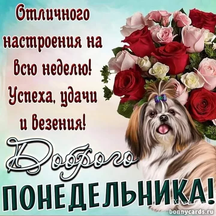9452ce96b746a0910e.webp