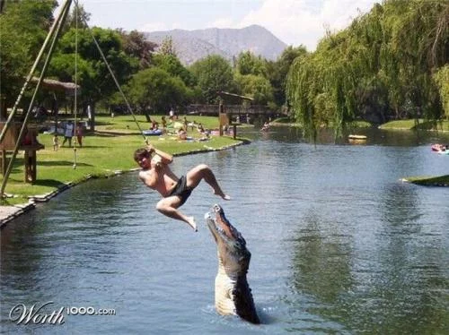 94533untitled42.webp