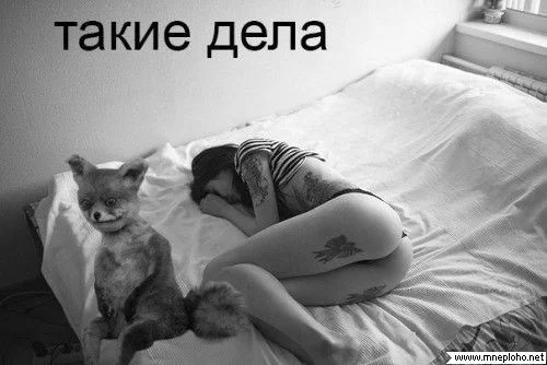 945bc4289bf90f9023782333acf2e609.webp