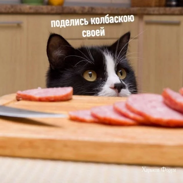 94682c13dcd11650da0a1afd.webp