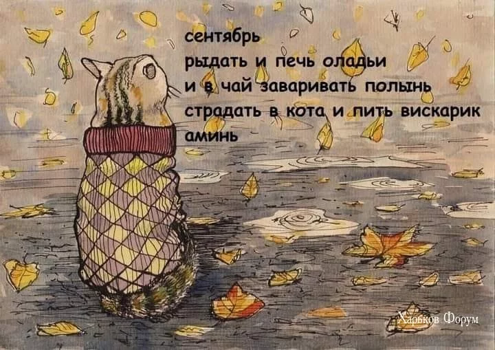 9476d78c6cc774cbc591.webp