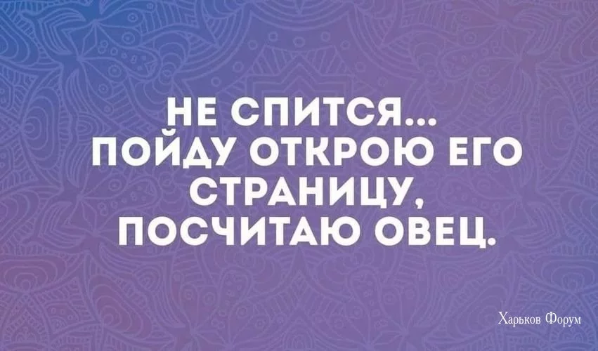 947ec9247d97fdc185.webp
