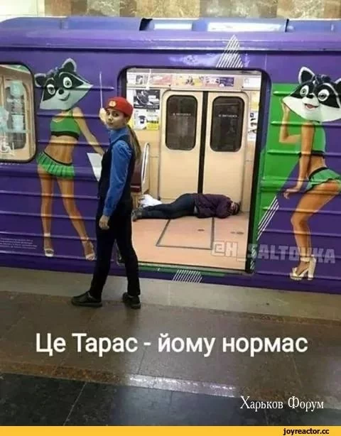 94834ba4c2de6314.webp