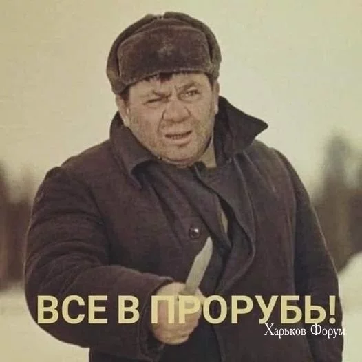 94a464b303b502cf7.webp