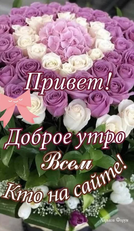 94b95537453b63957ffd8015.webp
