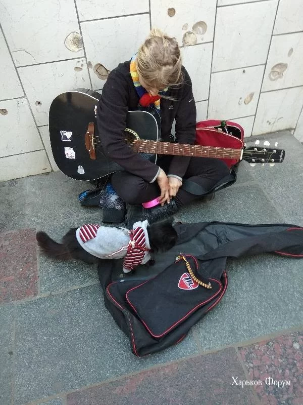94c7639680d3bca1edf1.webp