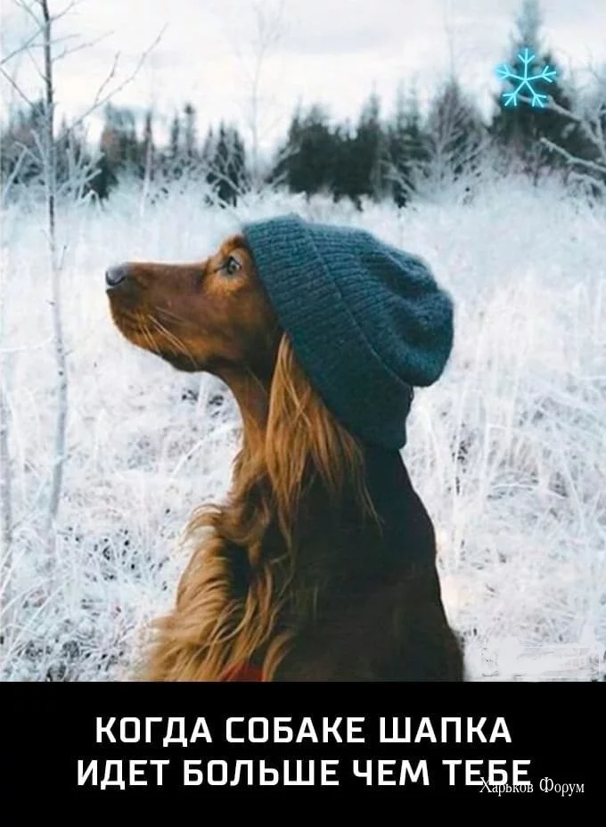 94f2e8ae2f3340dbc.webp