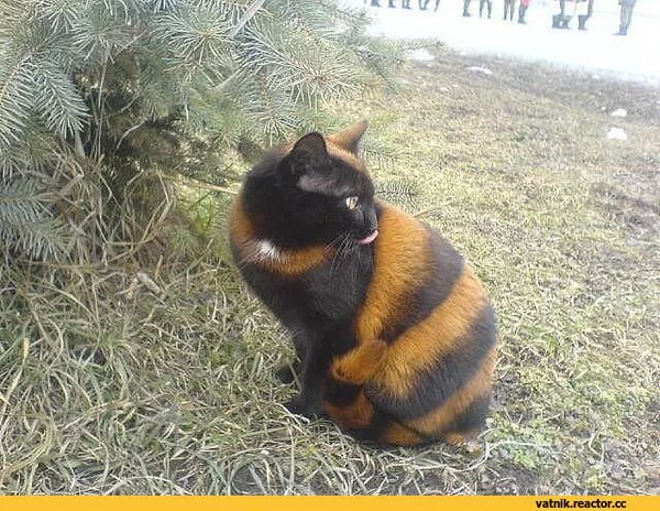 %95%D0%A1%D0%83%D0%A1%E2%80%9A%D0%A1%D0%8A-1228988.webp