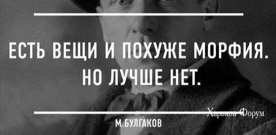 950fb266bd69be2af.webp