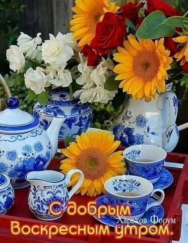 9510288745825a8715.webp