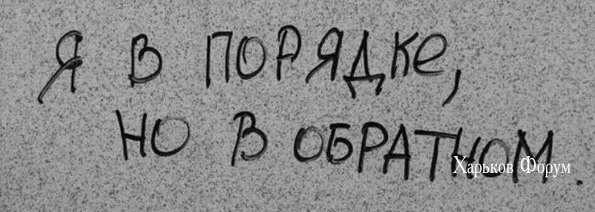 951263d31f6cd284636200b.webp