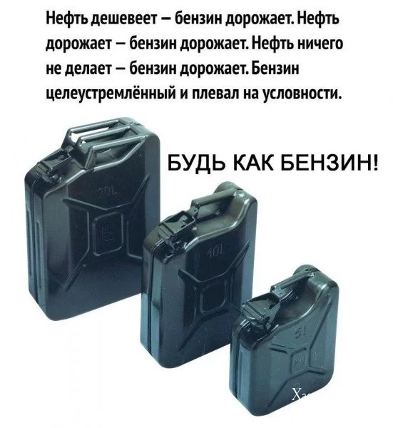 95177c07768769af.webp