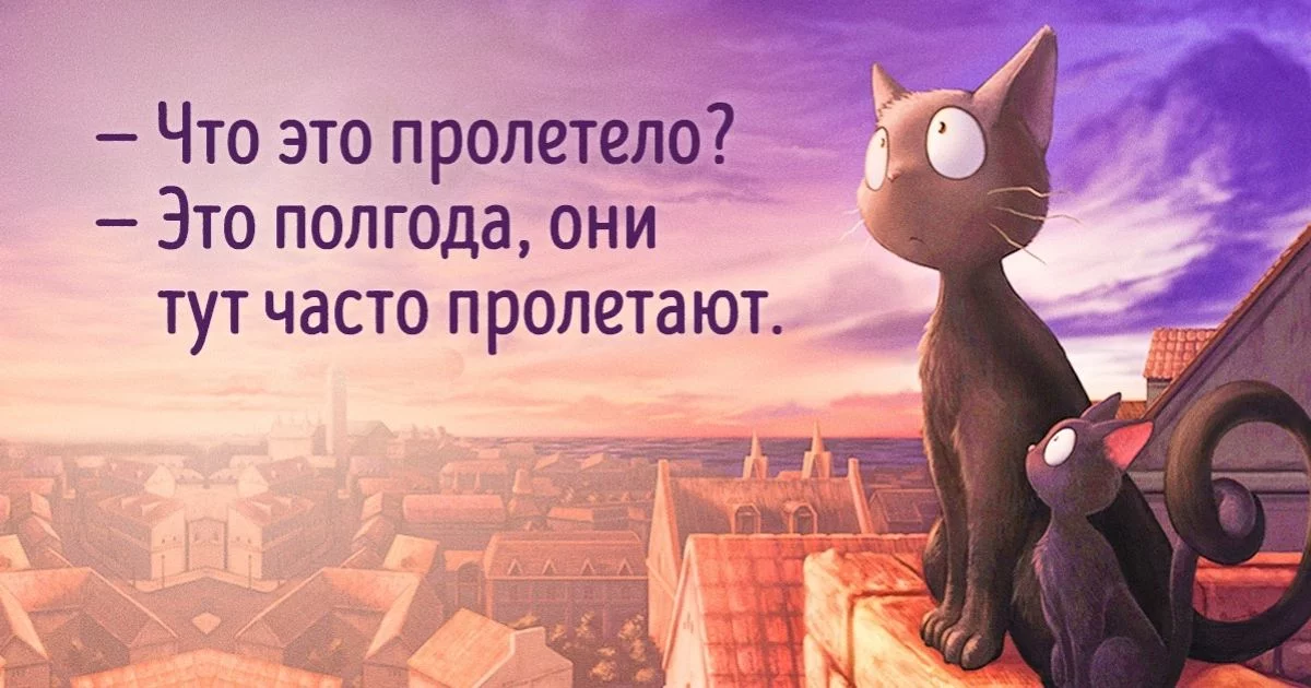951ba457278381e3a100b4e075.webp