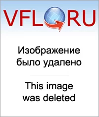 9526831_m.webp