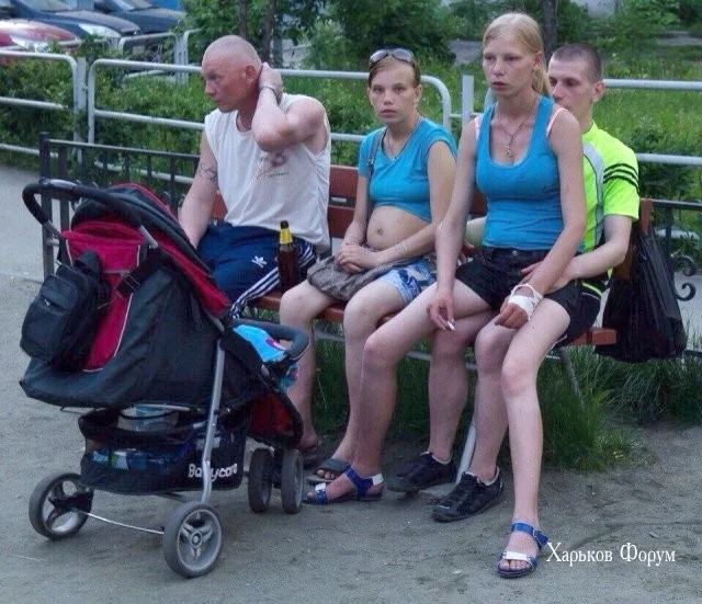 952c3ff51894cdb2e4fc2f.webp
