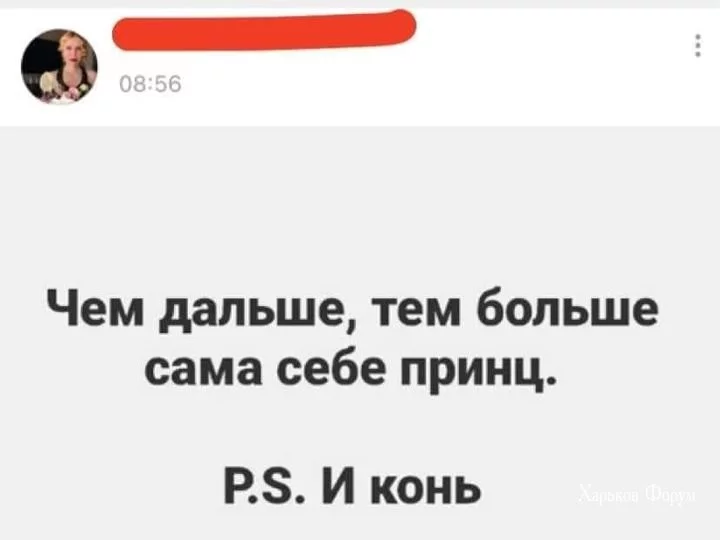 952f0231858fe02f7bd6c.webp