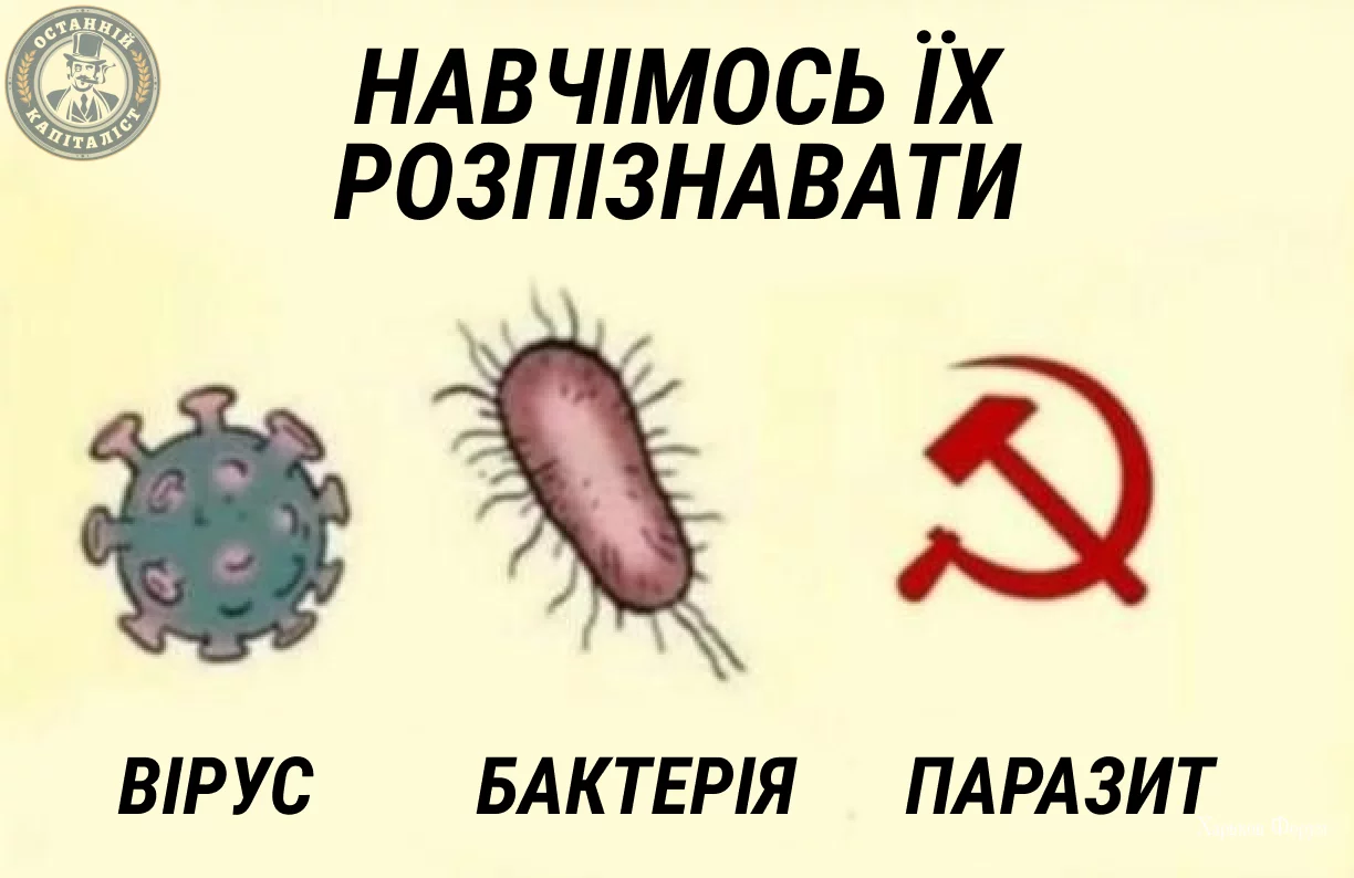 9530855ff056d9c3e9b946.webp
