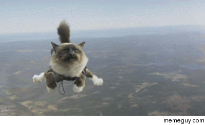 95357c1f9cedec75d5e7d.gif