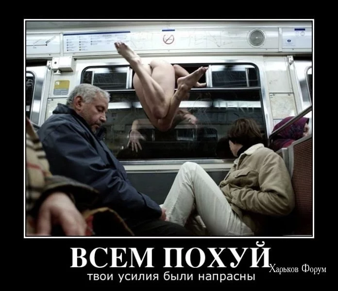 953f675a7d5ba33c1b03370.webp