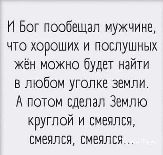 9551bb272ab34074d7f45.webp