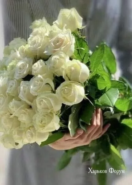 9583e93b541e884539d1cbd.webp