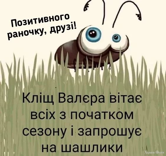 959a9b1933a77bd021b4a495442e00b8.webp