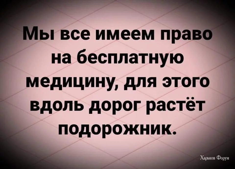 959e7e152e00225fd.webp