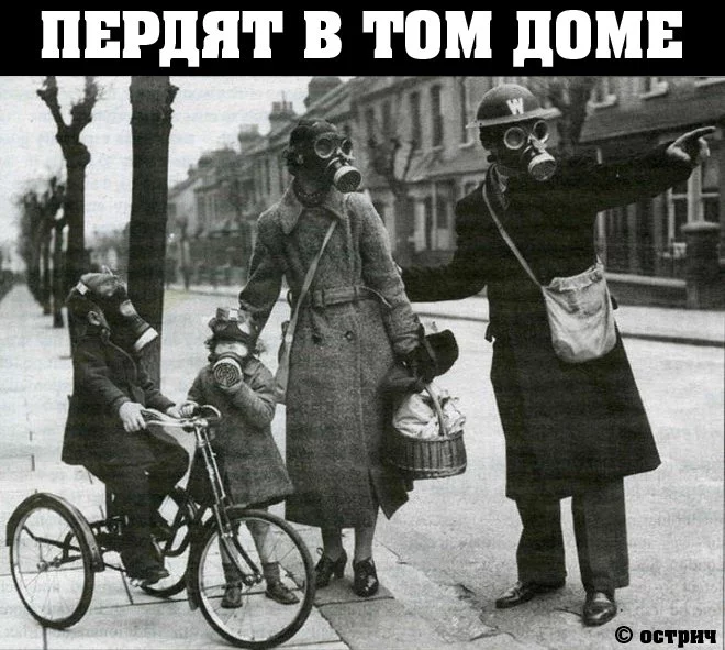 95a774430a5b350f93.webp