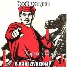 95b2839ea0fa2a2554da4f5.webp