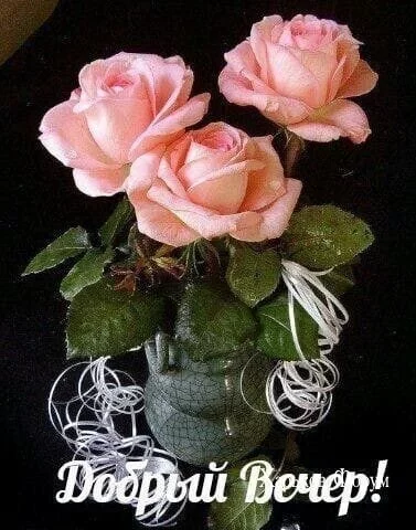 95b4c108e343a11d851b.webp