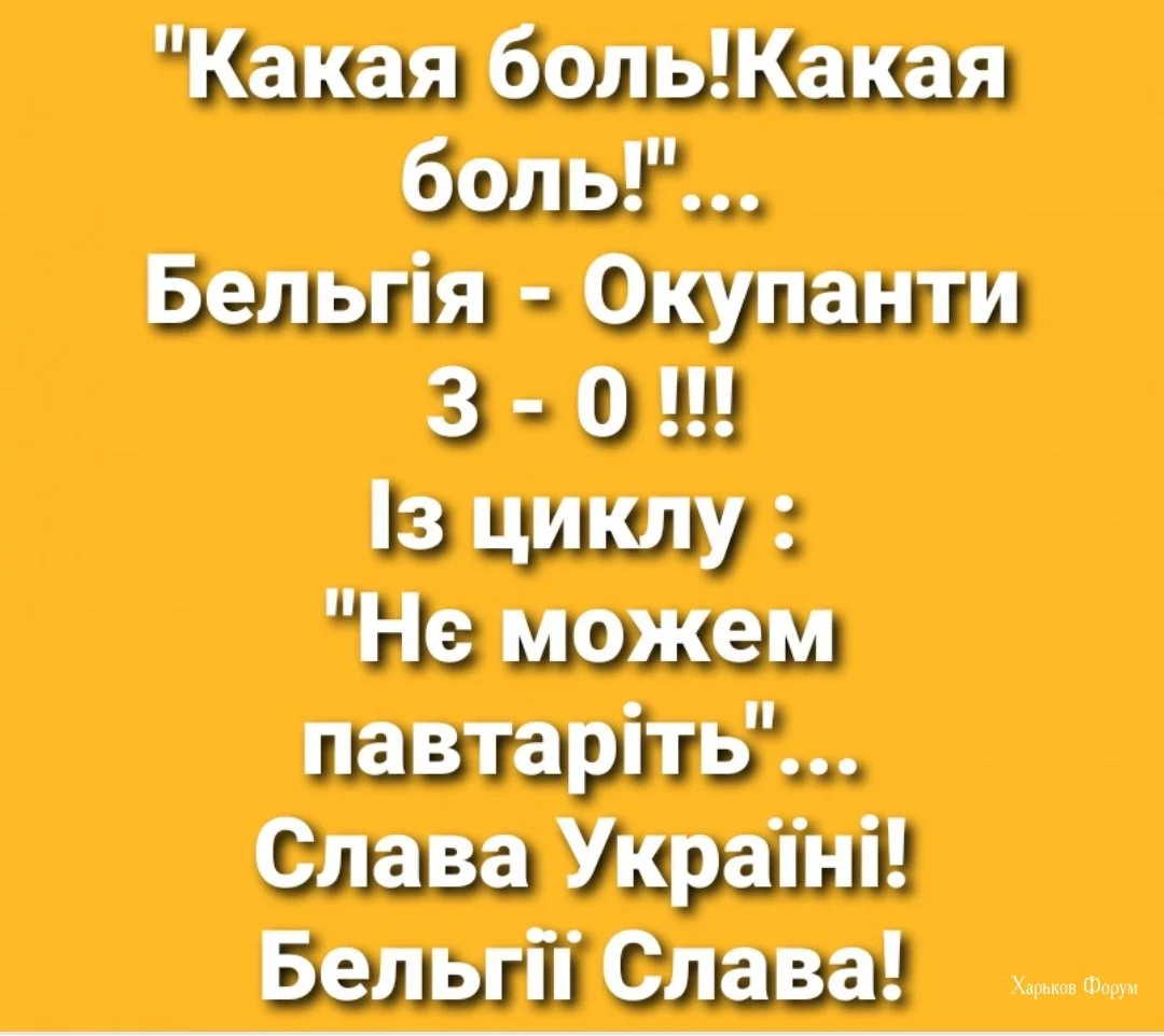 95bf13e19c62149502a67b1.webp