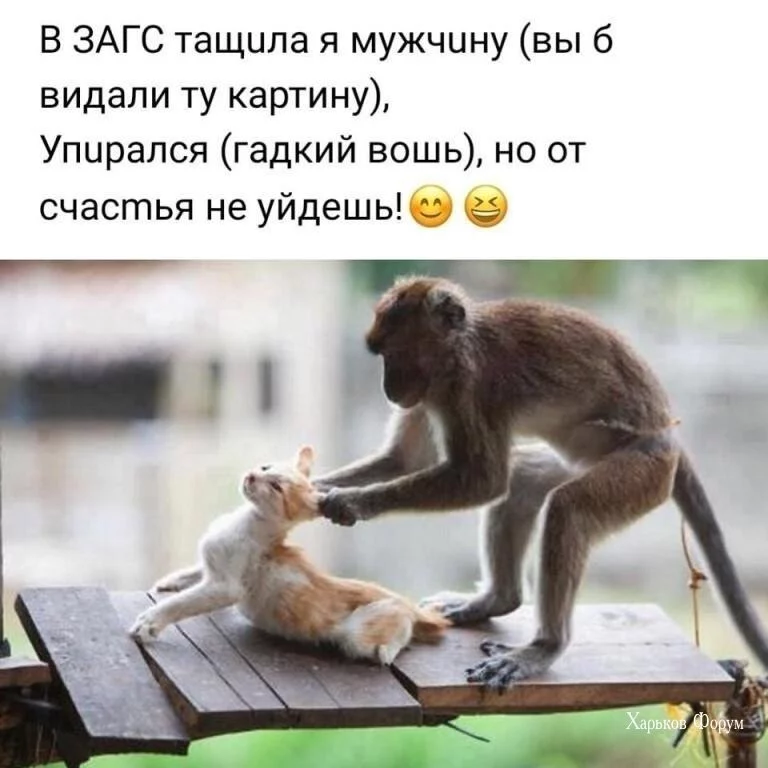 95bf422b72f0836b.webp