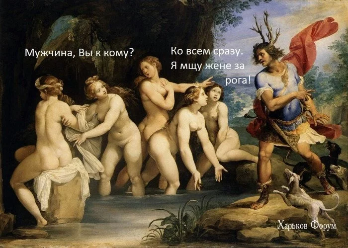95c039fa0d1cfc23e.webp
