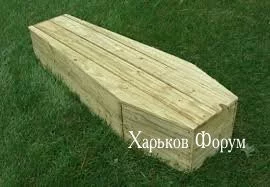 95d0ba1e49560bd27594817.webp