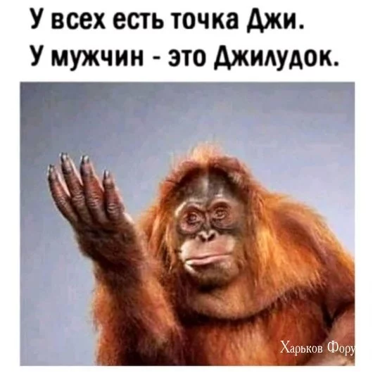 95dc2eea7032d9ebaa3334b1.webp