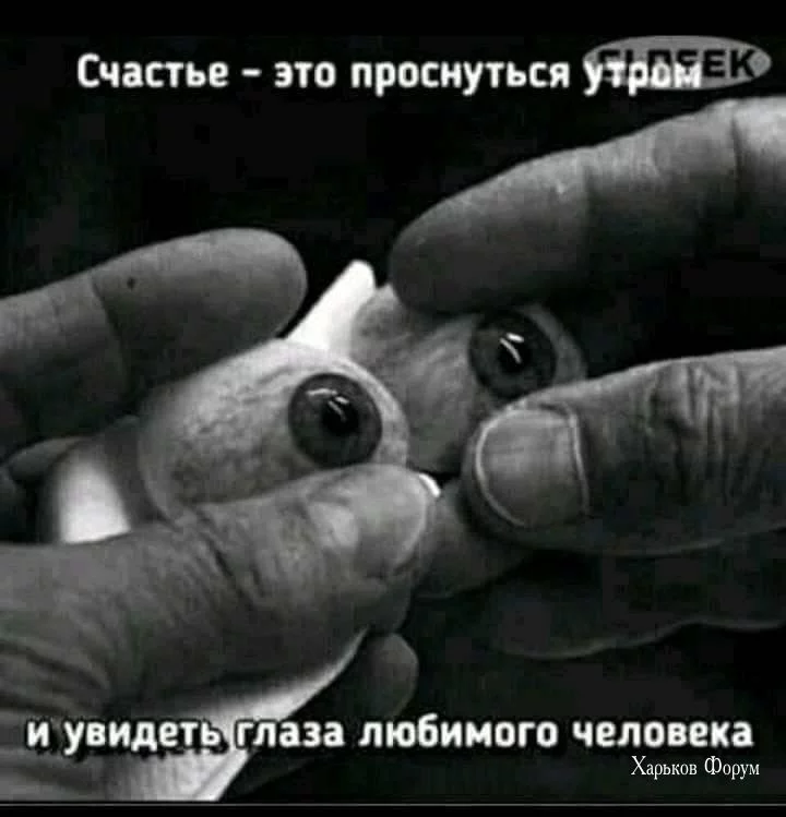95e4dcd798b1753269b8c4.webp