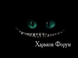 95e89f068649f24c8a.webp