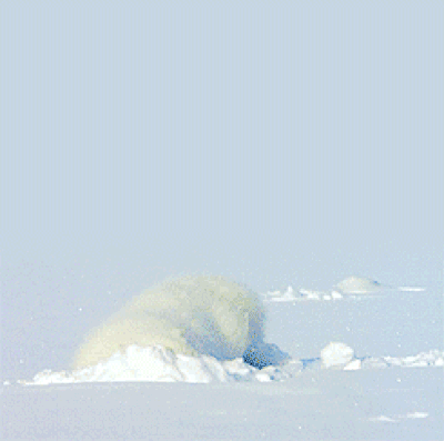 95e90d52bee70b01f6b3384.gif