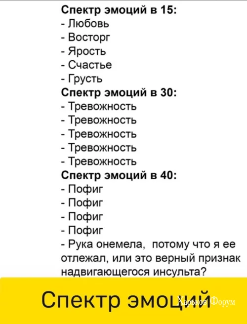 95eb16624767112788a5f67.webp