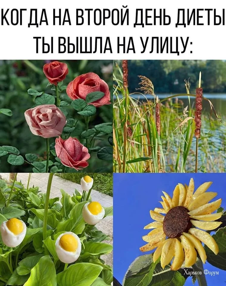 95eca7088272b605.webp