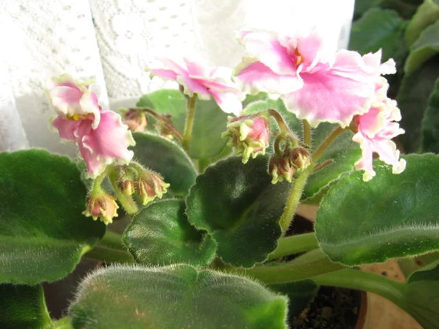 960141_m.webp