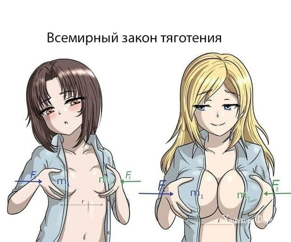 9602873b0b5ed7ce0.jpg