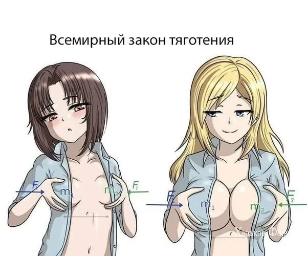 9602873b0b5ed7ce0.webp