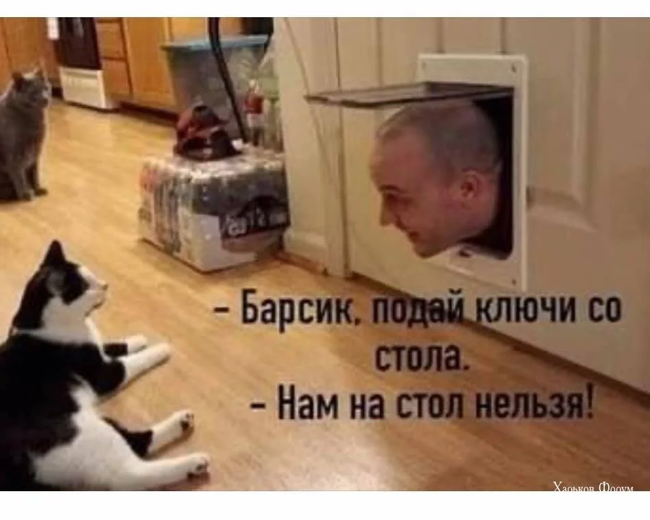 960ce99b4875398a7bece.webp