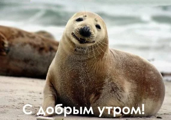 96115592_39.webp