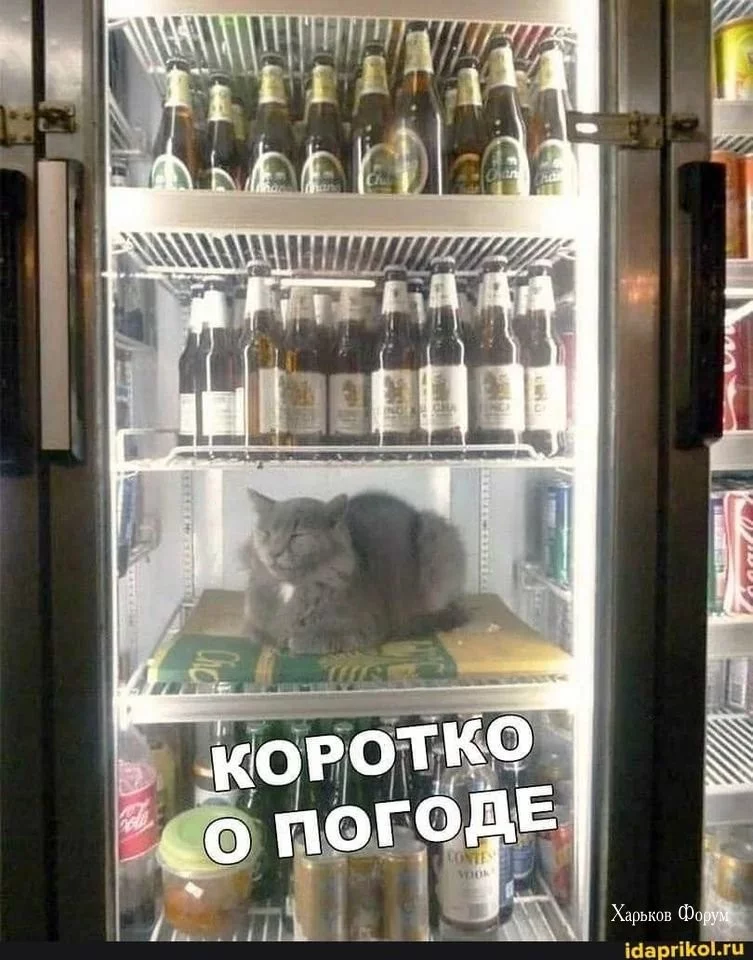 961307be5c805f0cdce22a.webp
