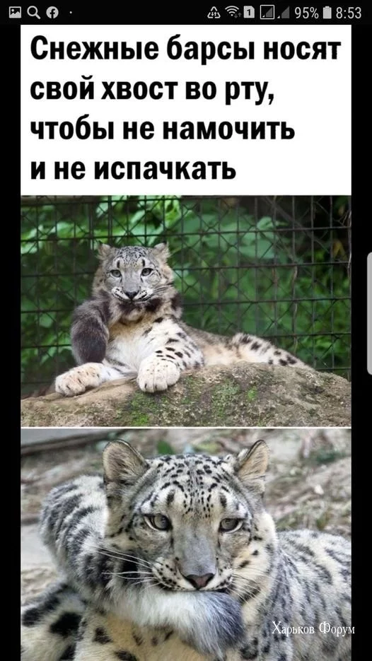 962c315fb8d6ba30a176162.webp