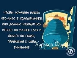 962ec4b92f28a3bf343.webp